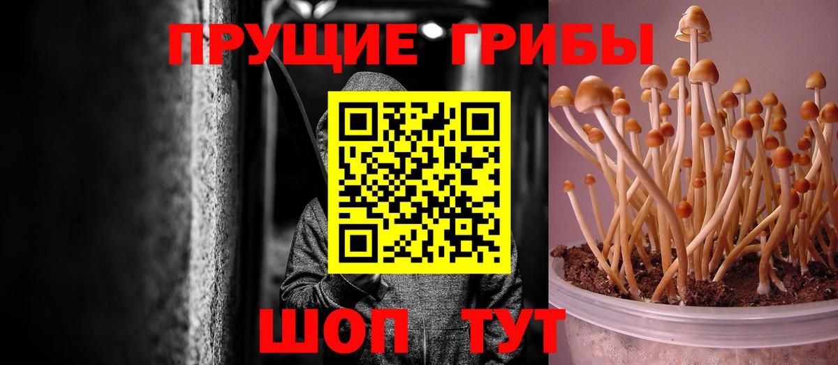 Удомля  Псилоцибиновые грибы мицелий  Вход с VPN 