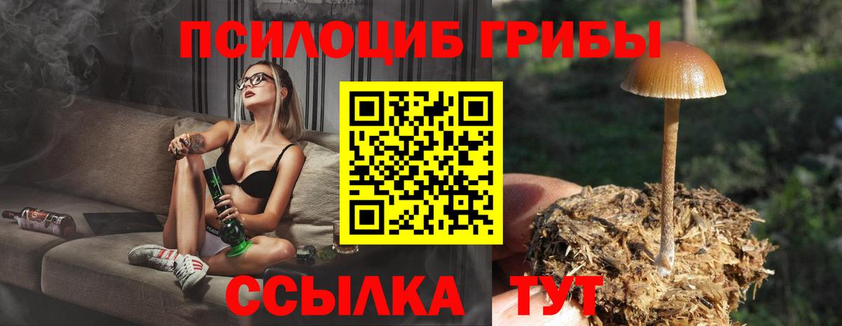 Псилоцибиновые грибы мицелий Удомля